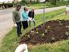 Plantation des fleurs