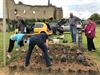 Plantation des fleurs