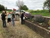 Plantation des fleurs